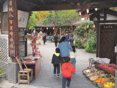 -青城甲(青城山店)