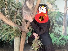 -威勒比开放式动物园