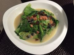 上汤生菜-余姚四明湖开元名都度假酒店·夏威夷西餐厅
