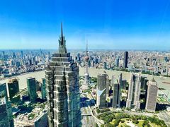 -The lounge 柏悦酒店大堂酒廊(上海环球金融中心店)