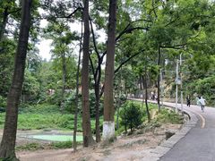 -黔灵山公园