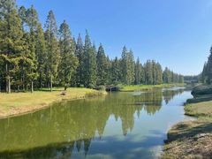 -黄海国家森林公园