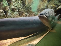 -乌鲁木齐海洋馆