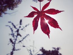 -六贤记(文三店)