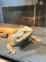 -酷嗒动物文化乐园(cutezoo西溪乐天城店)