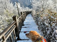 -江南天池