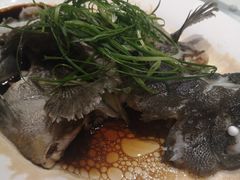 清蒸石斑鱼-海儀美食楼(湾仔海鲜街店)