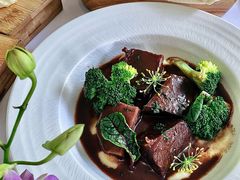 -蝶舍·MAISON PAPILLON