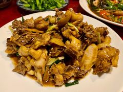 现杀果园鸡—黄焖鸡-生态苑农庄(十里画廊遇龙河店)