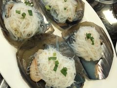 -蚝专家