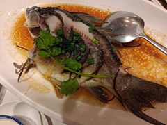 -顺意·顺德家乡菜(国际人才大厦店)