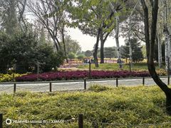 -国家植物园南园