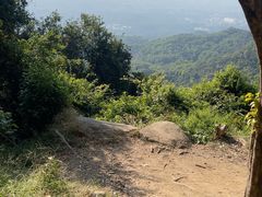 -火炉山森林公园