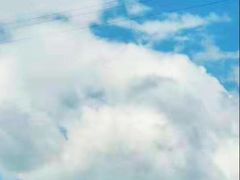 -终南山国家森林公园