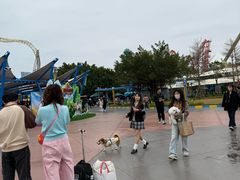 -厦门方特梦幻王国