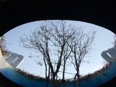-海花岛旅游度假区