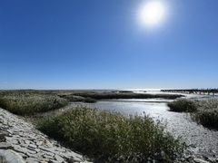 -红海滩国家风景廊道