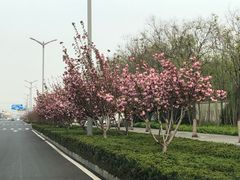 -乔治莫兰迪酒店(济南解放路山东大学店)