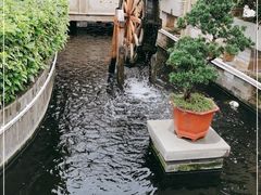 -顺德了能馆(虎门店)