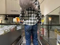 -宜家·瑞典风味餐厅(北京西红门店)