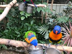 -南宫五洲植物乐园