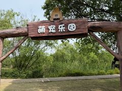 -长兴太湖图影湿地文化园