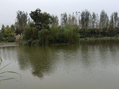 -白鹭湾湿地公园