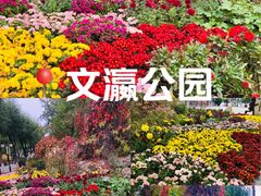 -文瀛公园