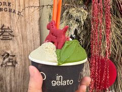 -Dip in Gelato(富民路店)