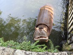 -海南热带野生动植物园