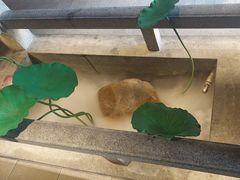 -新渝城·始于2000年(淘金店)
