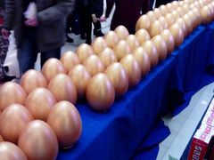 -红星美凯龙(浦江店)