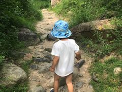 -碓臼峪自然风景区