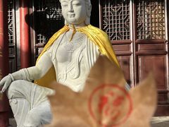 -灵谷景区