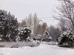 -石家庄市动物园