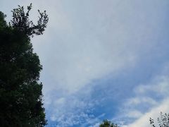-平湖九龙山旅游度假区