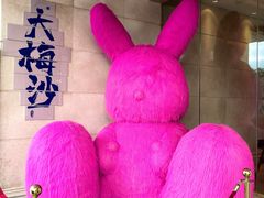 -大梅沙海滨公园