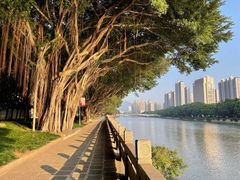 -光明港公园