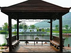 -桃花岛景观公园