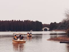 -上海海湾国家森林公园