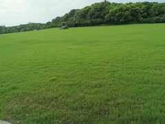 -昆山城市生态森林公园