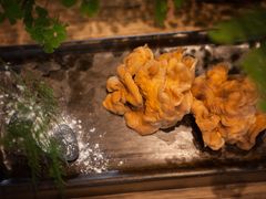 -禅蕴素食生活馆