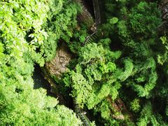 -神龙峡风景区