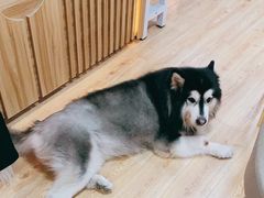 -白兔子密室(长寿路店)