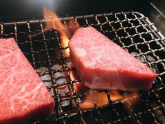 -俺的焼肉(銀座9丁目店)