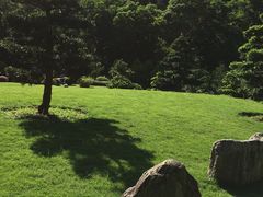 -深圳仙湖植物园