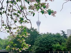 -红星桥(地铁站)