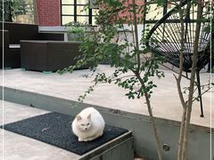 -胶囊画廊