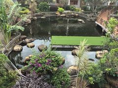 -花果山庄•现烤荔枝柴烧鹅