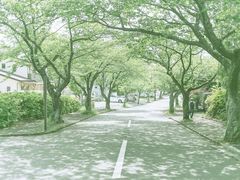 -城崎温泉 外七汤